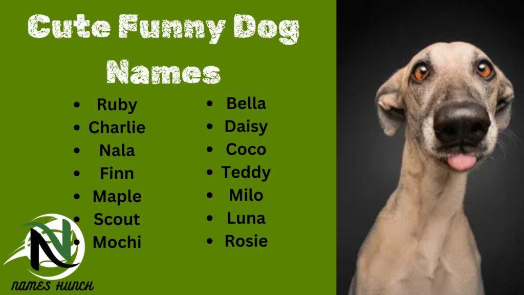 Cute Funny Dog Names