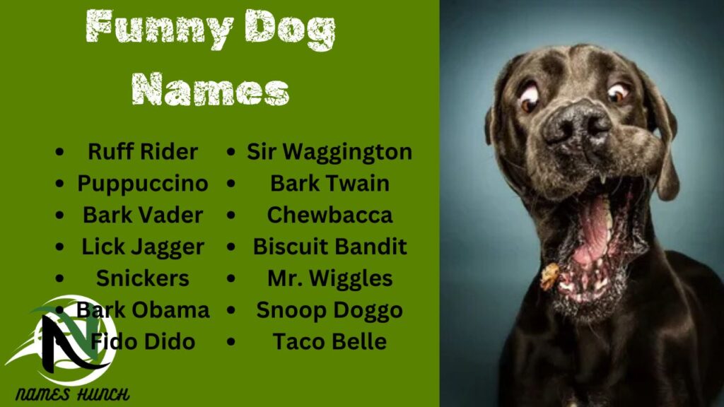 Funny Dog Names from Movies