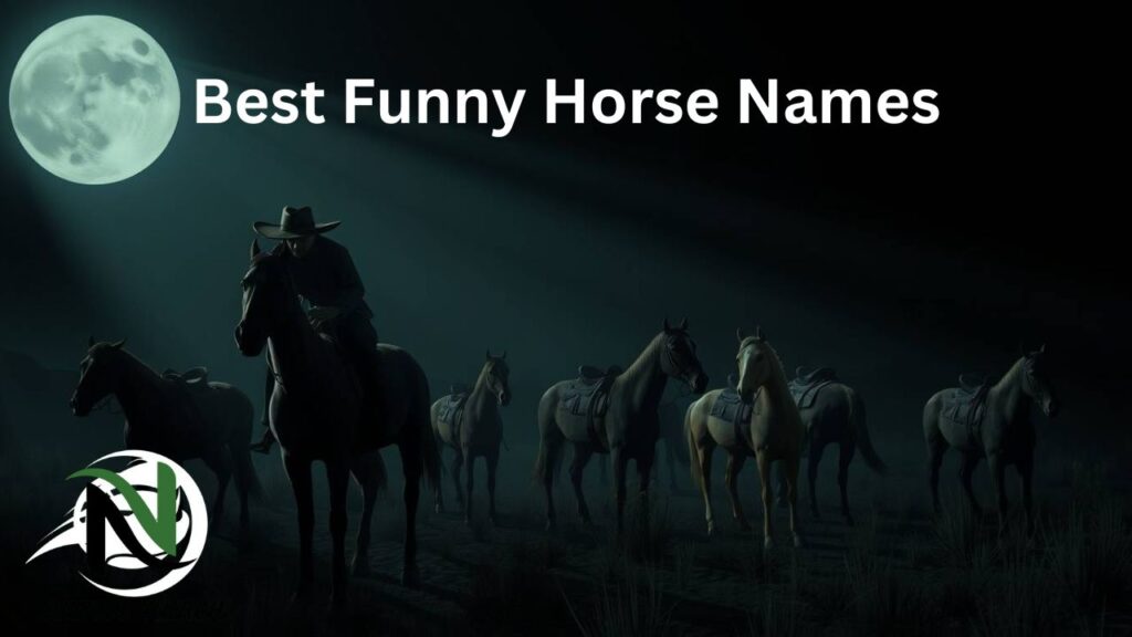 Best Funny Horse Names