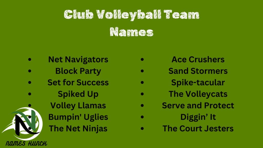 Club Volleyball Team Names