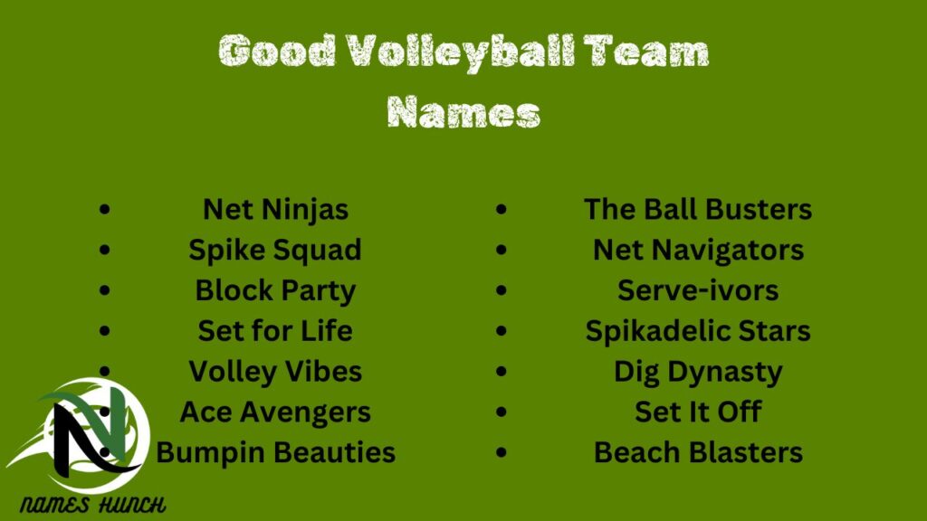 Good Volleyball Team Names