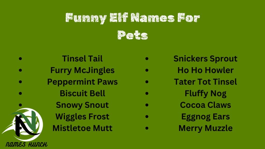 Funny Elf Names For Pets
