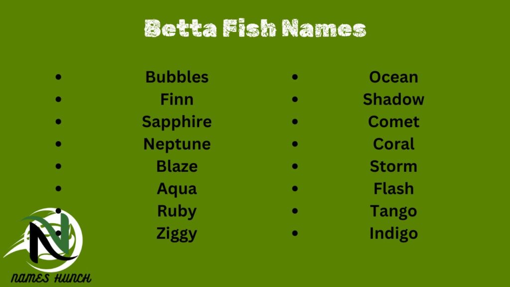 Betta Fish Names