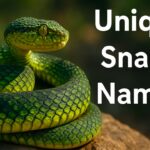 Unique Snake Names With Name Generator